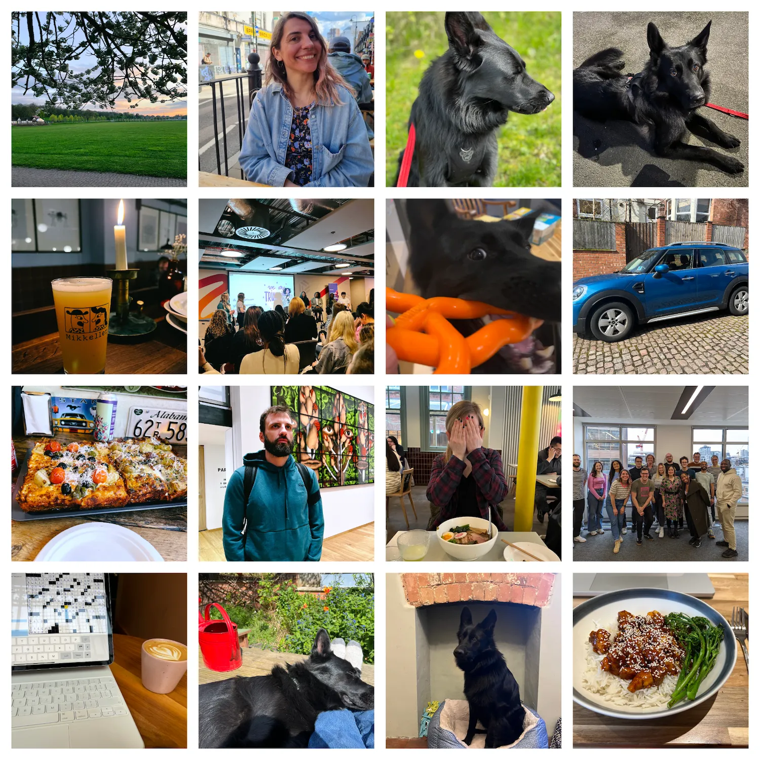 Collage of pictures from April: a nice sunset in my local park, blue orange skies and a flat grassy field, shot through the branches of a cherry blossom; me smiling at the camera sat outside a bottle shop having a beer; my dog Juno, a black fluffy german shepherd sat in the park with his eyes closed and sticking his tongue out just a tiny bit; Juno again, lying down and looking up at the camera with big eyes; a candlelit pint of craft beer at Mikkeler; a picture of the Triangirls event, you can see the Triangirls logo on the big screen and the women in the panel sat by it, as well as a big crowd; a close up of Juno biting onto his orange frisbee, looking a little deranged; my new car, a second hand blue mini countryman; a delicious looking detroit style pizza, fluffy and topped with vegetables, olives, and tonnes of parmesan; Jonathan, a tall bearded dark haired white man, standing in front of a huge colourful mural, composed of eyes and noses and leaves, at the Gilbert and George museum; my friend Anna and her bowl of ramen at a restaurant, she's covering her face with her hands; the web crew at Monzo, a bunch of lovely people on a group shot in the office; my ipad with the crosswords open and a coffee with latte art at a café; a picture of my legs, wearing jeans and socks while I'm sat on the sunny deck, there's a red watering can to the side and Juno's resting his head on my shins; Juno sat upright on his bed in the fireplace, looking slightly odd; a bowl of white rice and crispy tofu with gochujang sauce, served with some charred broccoli.