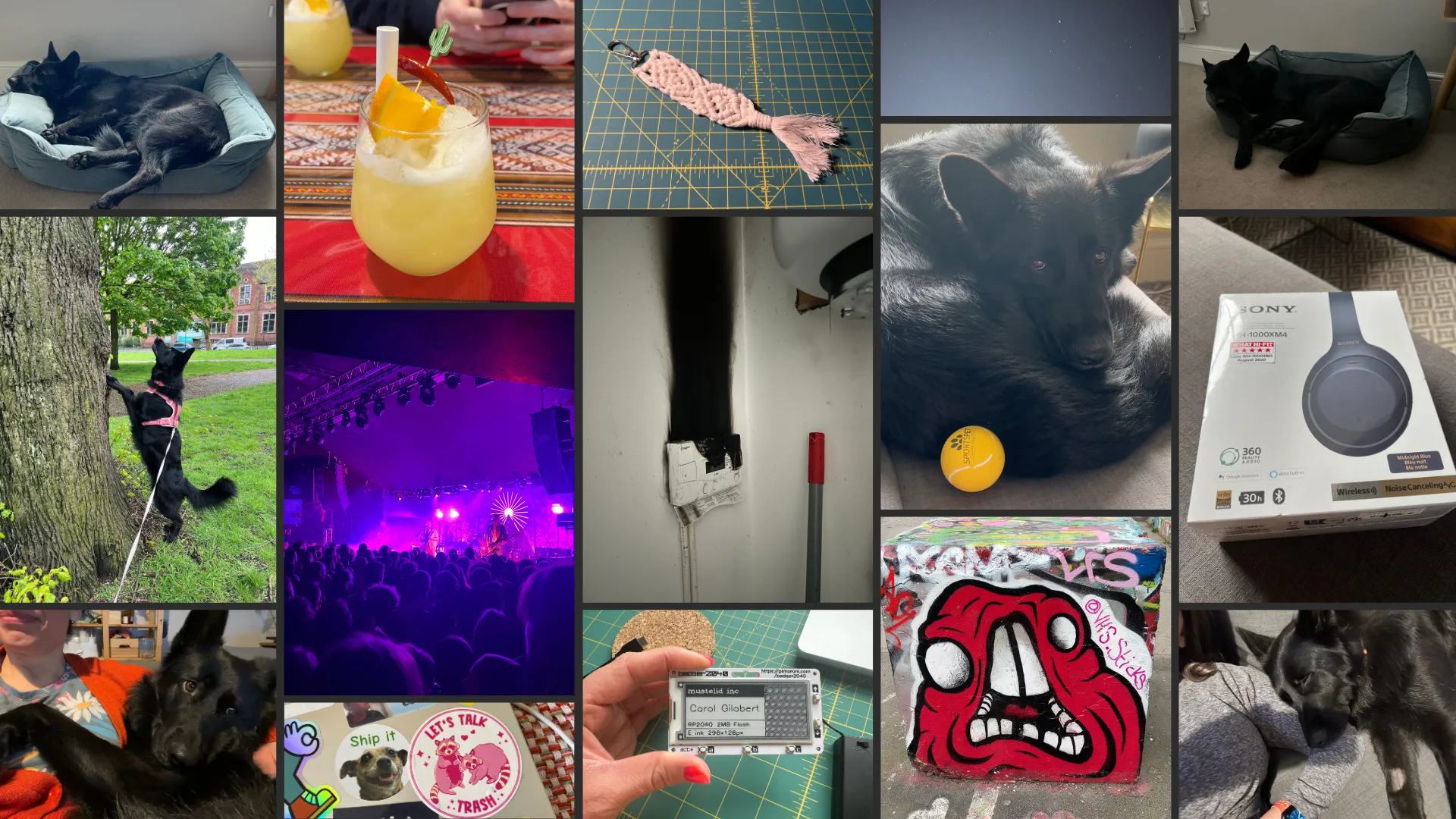 Collage of pictures from April: My dog Juno, a fluffy black German Shepherd, asleep sprawled on his blue velvet bed; a spicy pisco sour I had at a Peruvian café in London, garnished with a slice of orange and a chilli; a white macrame keychain I made, it's a bit wonky but looks ok; a patch of starry sky at my local park; Juno asleep on his bed again, I know there's a lot of that, but he's cute; Juno 'stood up' with his paws on a tree trunk looking up at the squirrel that evaded him; Everything Everything on stage at Rock City, lit up with purple and blue lights; my boiler thermostat burnt up with a big smoke mark up the wall from it; Juno curled up on the sofa, with his yellow ball, and looking at the camera; the box of some new Sony over ear headphones I got; Juno cuddled up to me on the sofa, he's got his paw across my chest and is looking cutely away; some stickers on my laptop, my friend Hayden's dog Jaz saying 'Ship it', and a couple of raccoons saying 'Let's talk trash', an e-ink badge I've been playing with, with my name and website; a grafitto I saw in East London, a weird red blobby creature with big teeth; Juno asleep on the sofa, with his head on my shoulder, he has a little patch of fur shaved off his leg cause he had surgery.