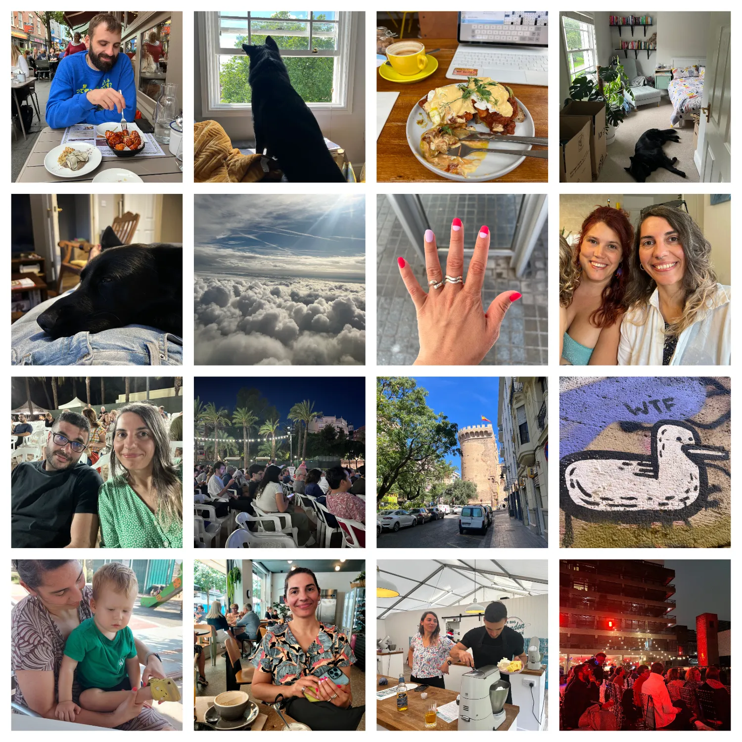 Collage of pictures from August: Jonathan, a white man with dark hair and beard, sat at a restauran table eating crispy cauliflower; my dog Juno, a fluffy black german shepherd, looking out the window of my new flat on a sunny day; a table in a café, you can see a flat white in a yellow mug, a plate with a muffin topped with a tomato bean sauce and a poached egg, and you can also see an ipad with crosswords on the screen; the bedroom in my new flat, you can see a room with lots of natural light, a green chair and footstool under some shelves filled with books, a big monstera plant and a couple of boxes, you can also see Juno asleep sprawled on the floor; a close up of Juno asleep with his head resting on top of my stomach; some very fluffy clouds, shot sideways through a plane window; my hand with a fresh manicure, 2 nails are red, 1 is lilac, and the other 2 are half and half, split horizontally; my friend Marisa, a white woman with red wavy hair and I, a white woman with brown and grey wavy hair, side by side smiling at the camera; my friend Victor, a white man with black hair, black beard and black rimmed glasses and I, sort of smirking at the camera; the outdoor cinema in Valencia, it's night time and you can see some people sat in white plastic garden chairs, in the background you can see fairy lights hanging from palm tree to palm tree; a sideways shot of an old city gate in Valencia, on a sunny day; a grafitto of a rubber duck with a caption above that reads WTF; my friend Kelly's son, a blonde toddler sat on my lap while I put a shoe back on him; me sat in a restaurant, wearing a flowery dress and having a coffee; me in a bake off style tent baking a cake with one of my coworkers, during a work social; the outdoor cinema at the barbican, you can see people sat in chairs and red fairy lights hung around the seating area.