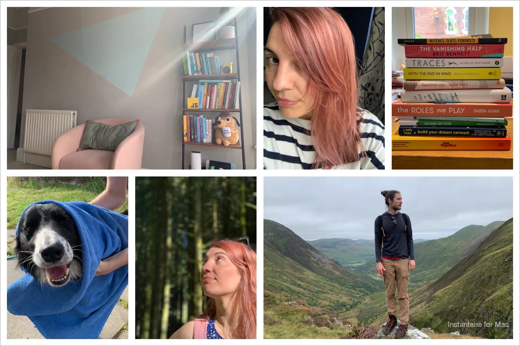 Collage of pictures from August: a big mint coloured triangle painted on my office wall; my red and pink hair highlights; a pile of books that I took on holiday with me; the border collie at the holiday place being toweled dry after a swim; me looking up in the sunny forest; Thom stood on top of a rock which was on top of a mountain, with a view of the valley below.