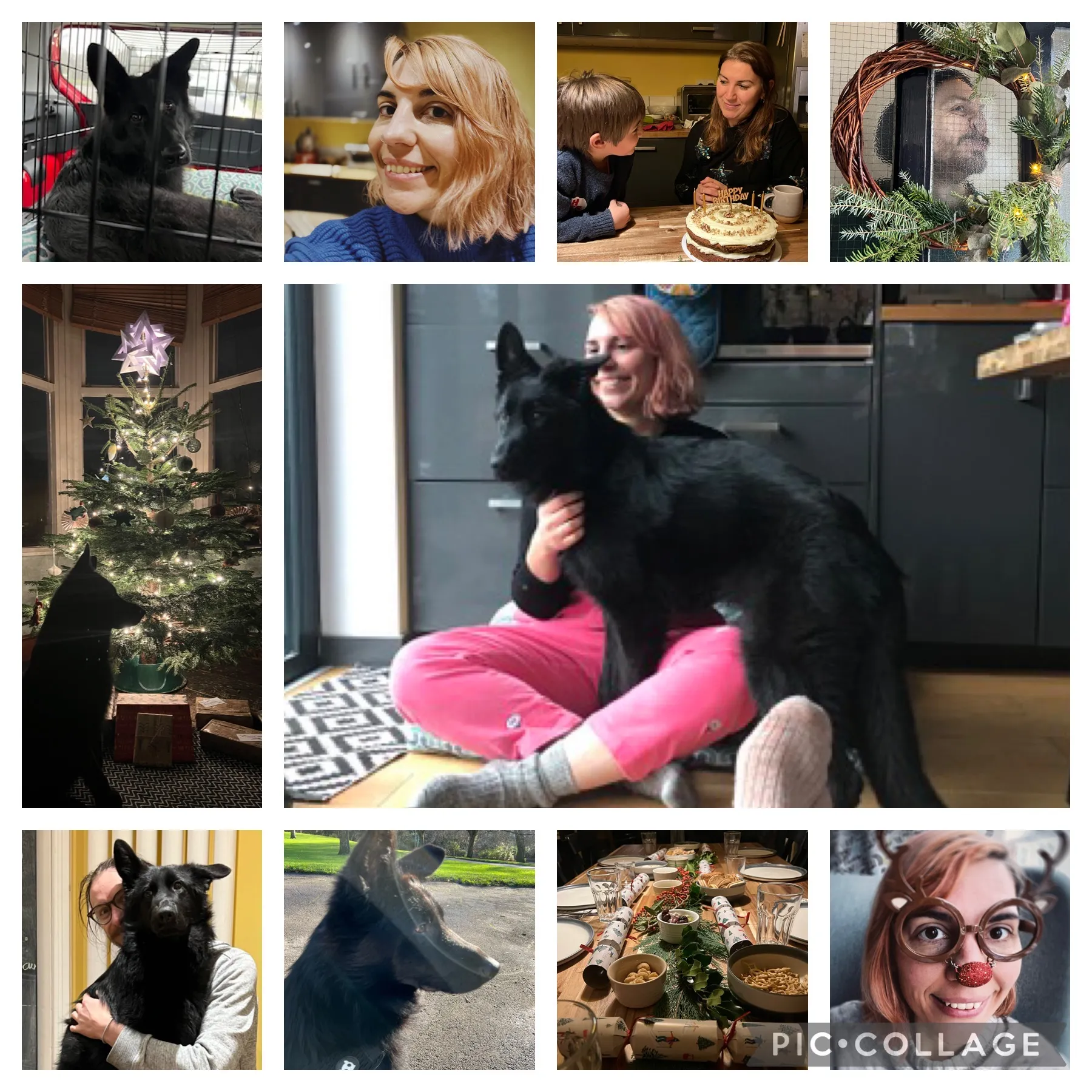 Collage of pictures from December: Juno in his crate when we picked him up; me with my new short haircut; my sister with her birthday cake; Thom being a goof and standing behind our wreath; Juno looking majestic in front of our lit up Christmas tree; Juno having a cuddle with me the day we adopted him; Thom hugging Juno; Juno sat in the park in the sunshine; the Christmas table set up; a selfie of me with my reindeer glasses.