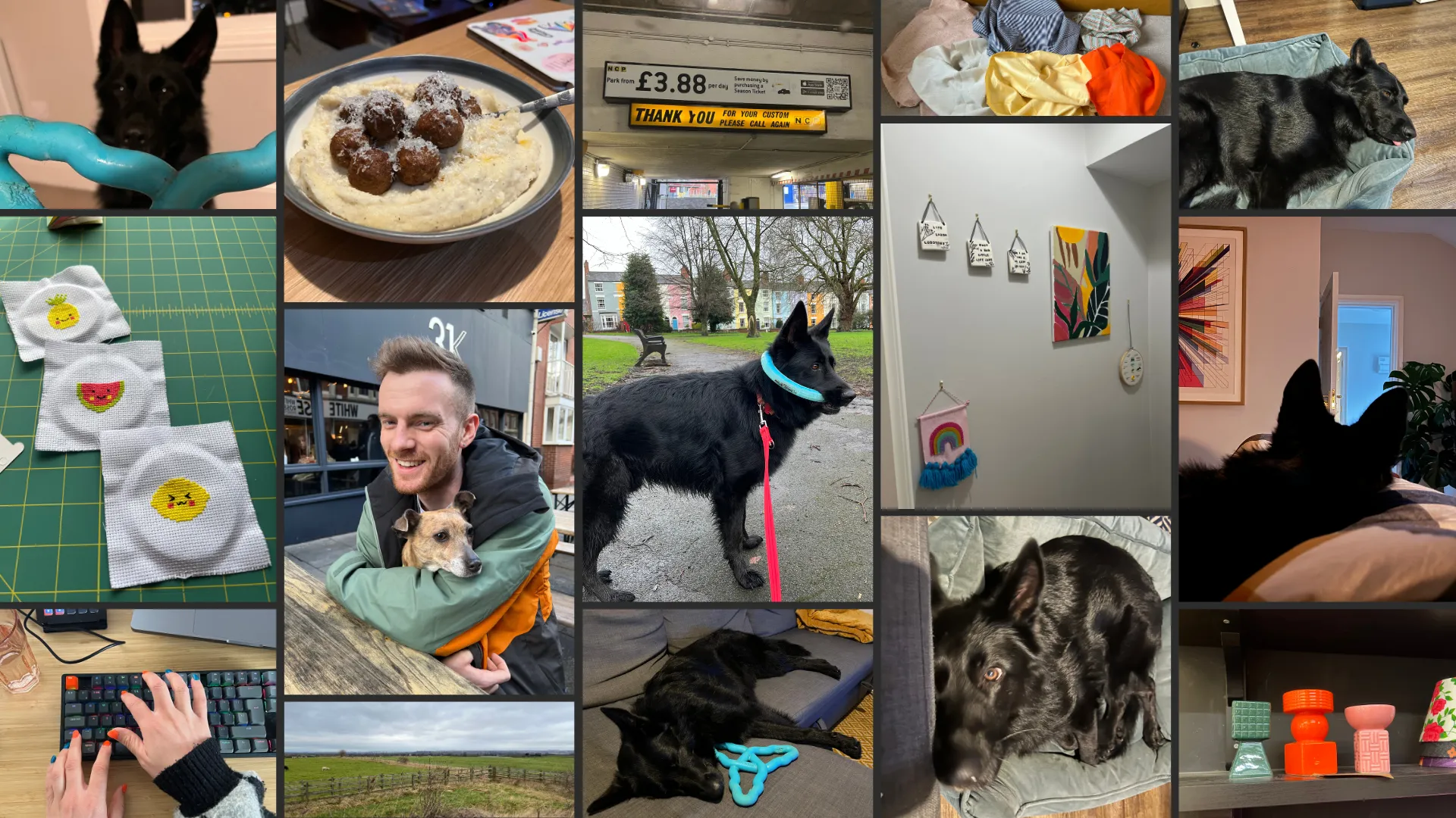 Collage of pictures from February: My dog Juno, a fluffy black German Shepherd, intensely staring at his favourite toy, the blue triangle; a bowl of mashed potatoes with plant balls covered in grated parmesan; a thank you sign in a cool vintage-y font I saw in a car park; a bunch of fabric I got at a vintage shop to practice sewing; Juno cutely asleep on his bed; a few little fruit dudes I cross stiched; my friend Hayden with his dog Jaz in his lap, smiling, Jaz is a very smol Staffie and Chihuahua mix; Juno in my local park, looking goofy with his blue ring toy around his face; my toddler art wall, which a pink sewn banner with a rainbow, a pretty bad painting of some leaves, and some ceramic tiles I decorated a while ago; Juno was poorly so he was allowed a cuddle in bed with me, this pic is him asleep with his head on my legs in bed; me awkwardly pressing a keyboard shortcut, you can see my blue and orange nails, and black keyboard; a landscape picture of a field in Cotgrave Country Park; Juno asleep sprawled on the sofa with the blue triangle next to him; Juno lying on his bed, looking straight up at the camera; some cute colourful geometric candle handlers I saw at a vintage shop, still considering going back for them.