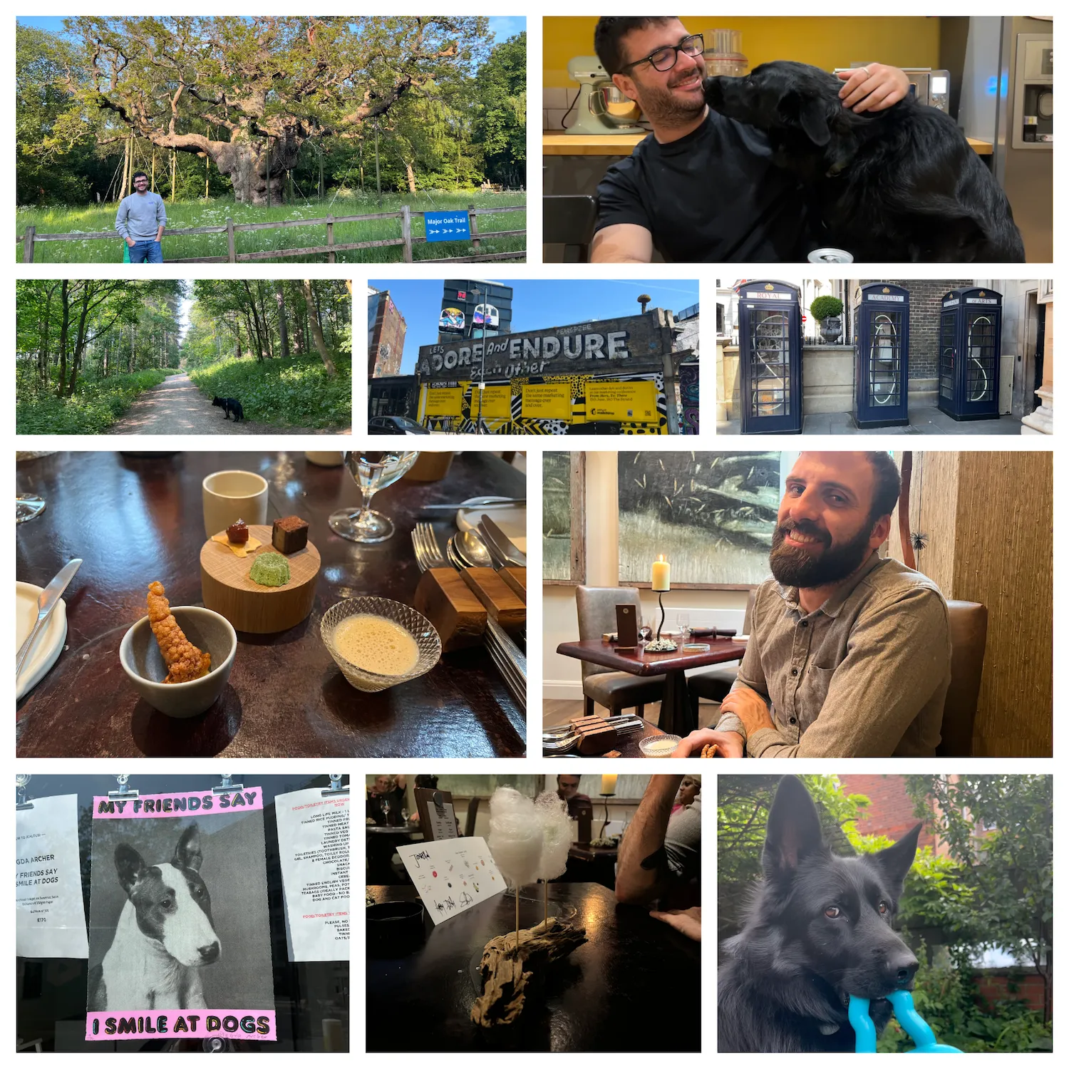 Collage of pictures from June: my friend Victor, who's white, with average height and weight and has black hair and beard, stood in front of the Major Oak in Sherwood Forest, a huge oak tree; Victor again, sat on my dining table with my dog Juno, a fluffy black german shepherd licking his face; Juno again, walking the path in Blidworth woods on a sunny day; a greyscale graffito in London that says 'adore and endure each other'; three dark blue phone boxes, each with a neon lit letter inside, together they spell SOS; the first course of our Sat Bains dinner, a collection of small snacks, one for each flavour type; Jonathan, a white man with dark brown hair and beard, smiling slightly awkwardly at the camera while we're sat at Sat Bains; a poster I saw in London on a shop window, it has a black and white photo of a bull terrier and the caption reads 'my friends say i smile at dogs'; the last course of our Sat Bains meal, two sticks with a cube of thai green curry ice cream, wrapped in cotton candy; my dog Juno with a blue triangular toy in his mouth, side eyeing the camera.