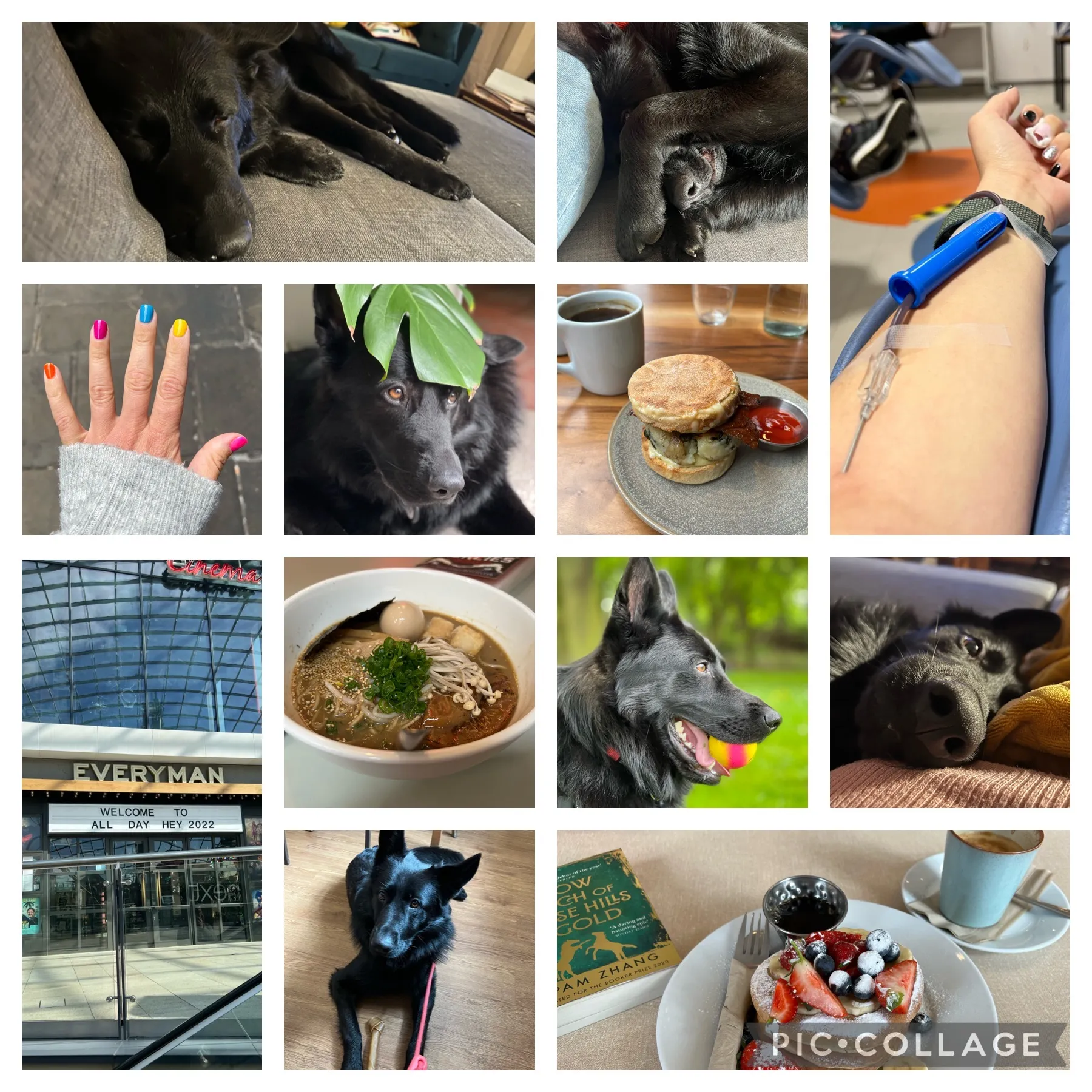Collage of pictures from May: An assortment of pictures of my dog Juno, some where he's asleep or pulling faces and one where he has a monstera leaf on top of his head; my nails painted with rainbow colours; my arm with a blood donation needle in; a stack of pancakes with berries and a book on top of a cafe table; a bowl of ramen; a coffee and a breakfast sandwich; the front of the Everyman cinema in Leeds with a sign that reads 'Welcome to All Day Hey 2022'.