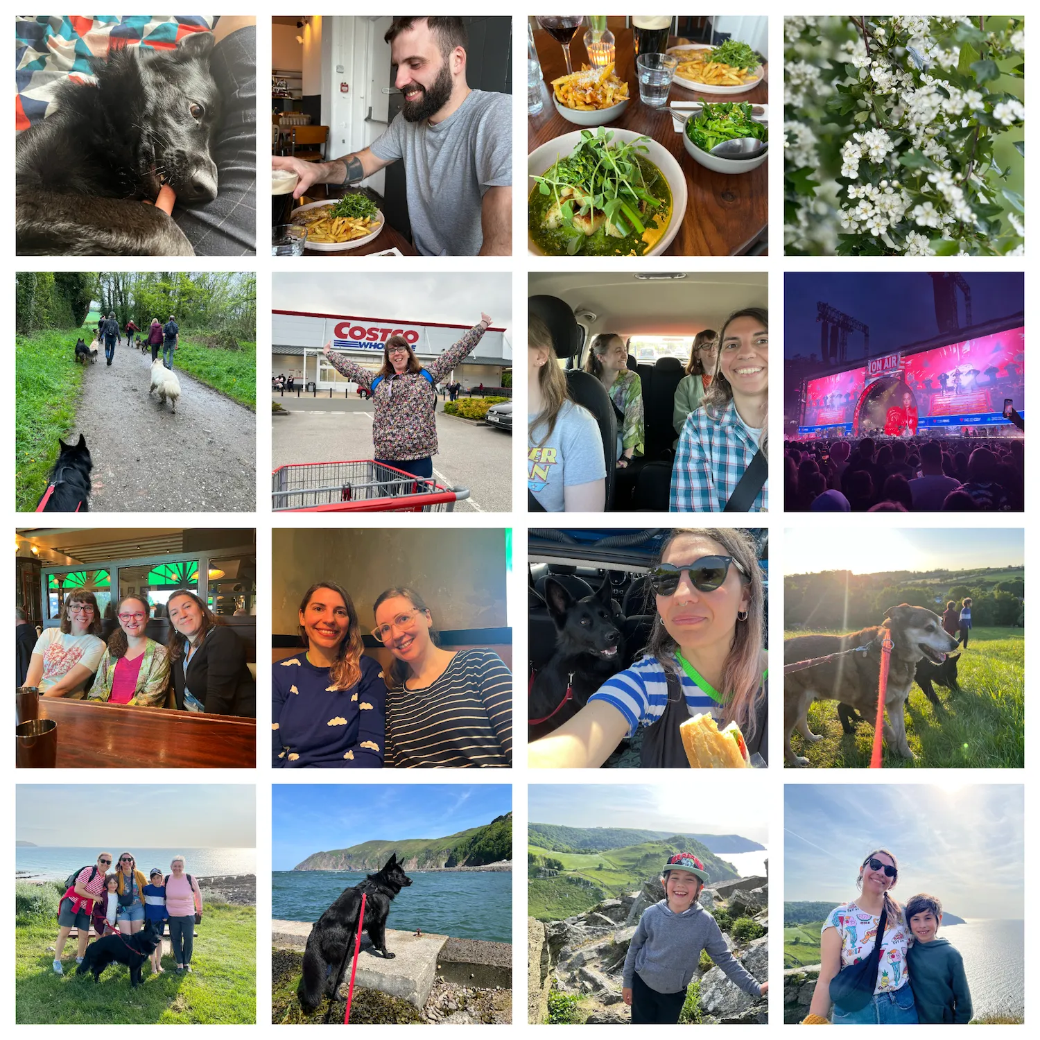 Collage of pictures from May: Juno, my fluffy black german shepherd, looking cute while biting my finger; Jonathan, a bearded dark haired white man, sat at the pub with his plate of steak and frites; a table full of yummy pub food, including a bowl of chips completely smothered in parmesan; some small white flowers from the plum tree in my garden; a countryside path with a few people and their german shepherds, you can see juno's head and back at the bottom of the frame; my friend Rachael stood with open arms in front of Costco; my friends Anna, Emma and Rachael and I, in the car on the way to Edinburgh; the stage at the Beyonce gig, you can see her and the dancers on the stage, the screen behind the stage is all red and there's a huge bust of her dressed in a red latex dress; my friends Rach and Emma, and my sister Lu at brunch; my friend Anna and I at brunch; Juno and I, sat in the boot of my car while I have a sandwich; my sister's dog Penny and Juno playing in a big park, you can also see my nephews running in the background; my sister, mum, nephews, Juno and I posing in front of the woolacombe beach on a sunny day; Juno stood on the pier in Lynton, looking majestic in the sunshine, with his shiny black coat; my youngest nephew Manuel, posing in front of the valley of rocks, near Lynton; my eldest nephew Bruno and I, posing in front of both the valley of rocks and the sea.