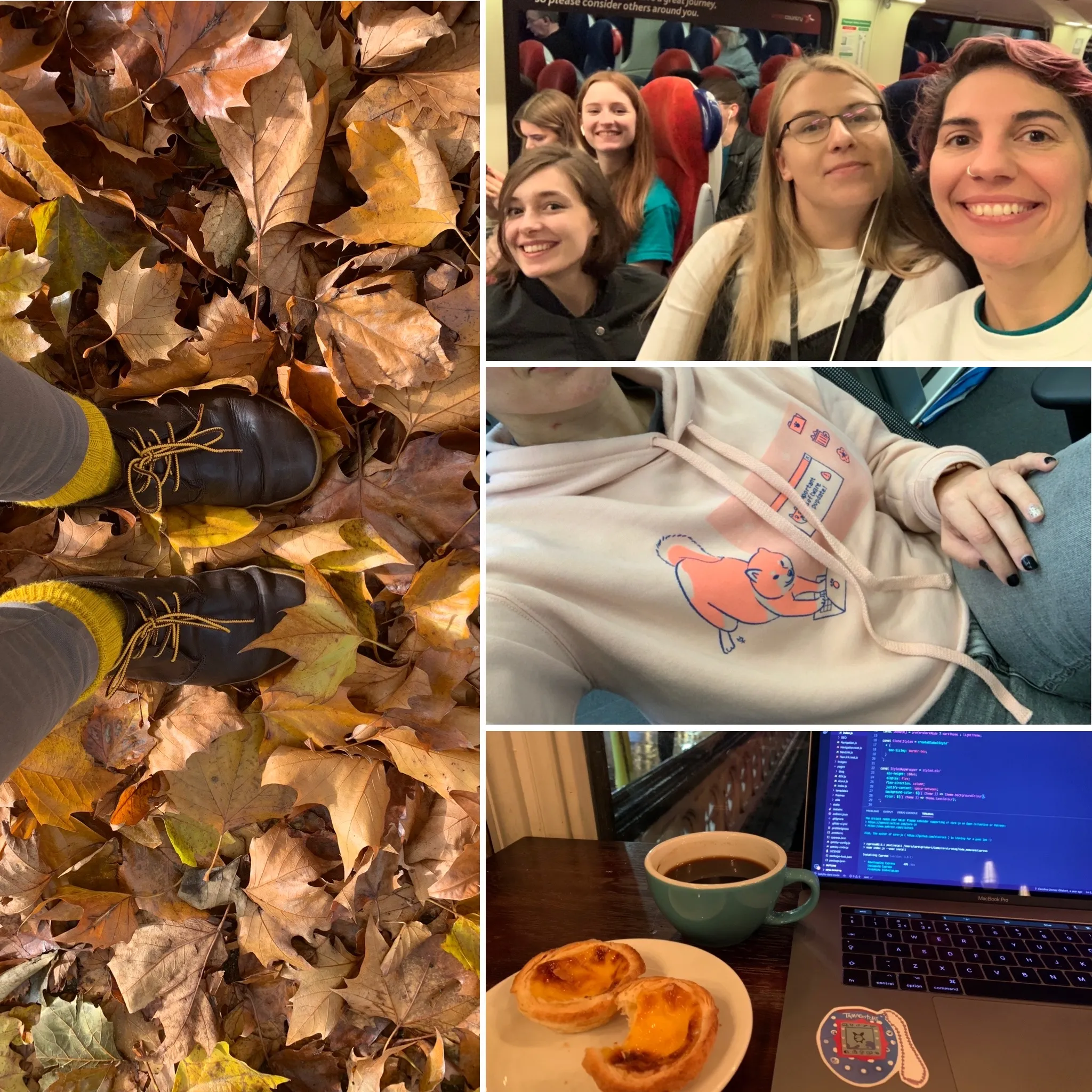 Collage of November pics