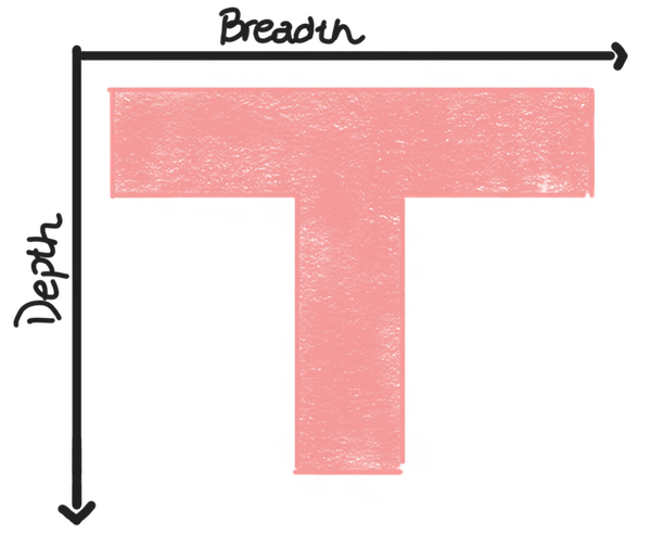 Graph of breadth vs depth of knowledge: T shape (broad but deep in one key area)