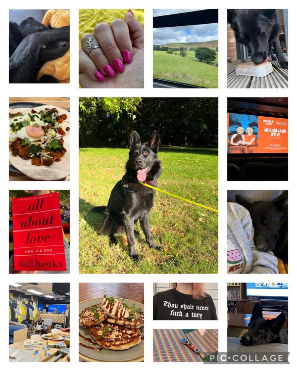 Collage of pictures from July: Juno lying on the sofa, covering his face with his paw; my long almond shaped bright pink nails; a view of the peak district through the train window; Juno licking a block of ice during the heatwave; a plate of huevos rancheros I made; the cover of all about love, all red with big black font; Juno in the sunshine at the park; the cinema screen with a drawn poster for Mulholland Drive; Juno sleeping deeply with his head against my arm; the lovely Women in Tech people at the event; a plate of delicious pancakes; a t shirt I printed that reads 'thou shalt never fuck a tory'; some fabric and a rotary cutter on the table; Juno resting his cute little face on the edge of the sofa.