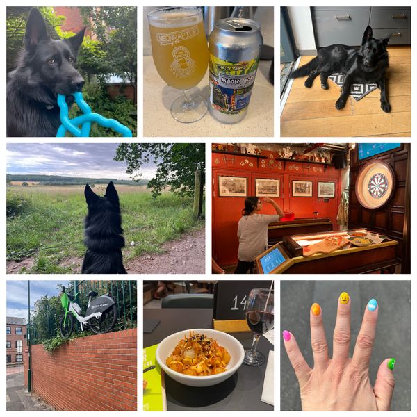 Collage of pictures from July: my dog Juno, a fluffy black german shepherd, holding a blue triangular toy in his mouth, side eyeing the camera; a nice neon raptor beer I had, called magic world, the can wrap design is inspired by jurassic park a bit; Juno laying on the kitchen floor, looking shiny and staring directly at the camera; Juno looking at a field at sunset, you can see the back of his head and the silhouette of his ears, and blue yellow skies; one of my work colleagues throwing a dart at our team social; a lime bike randomly perched on top of a brick wall; a bowl of delicious kimchi tater tots and a glass of wine; my fresh manicure, a colourful set where each nail is a different colour and has a different design, including a smiley face and a cloud.