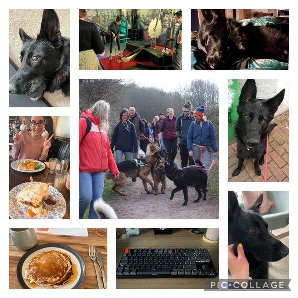 Collage of pictures from March: my dog Juno looking goofy with a ball in his mouth; a few of my work mates playing crazy golf; Juno fast asleep in bed; Sharan and I having a cheeky dishoom breakfast; us at the german shepherd group walk with lots of people and dogs; Juno with a bit of snow on his face; a stack of pancakes I made for pancake day; a new mechanical keyboard I got; Juno getting a pet from me.